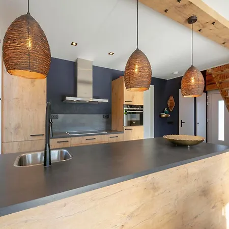 Villa Near Dutch Dunes With Sun-Facing Garden *