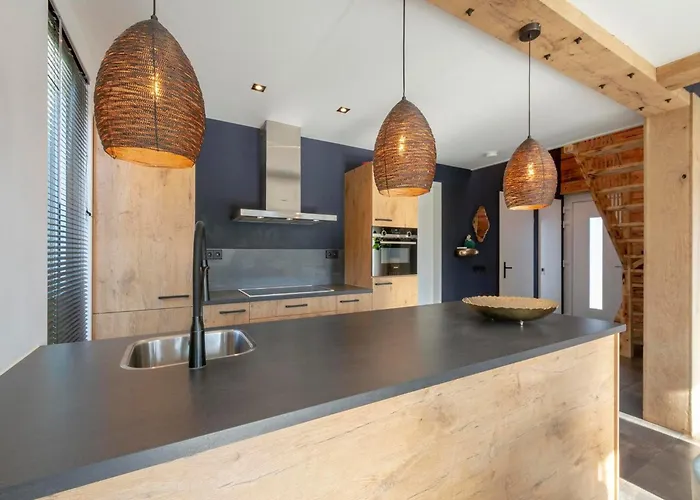 Villa Near Dutch Dunes With Sun-Facing Garden *